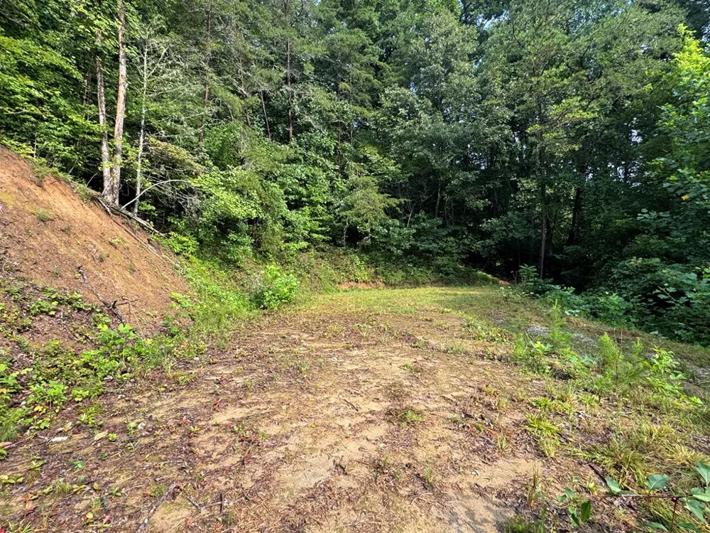 Jacobs Rd Bryson City, NC 28713