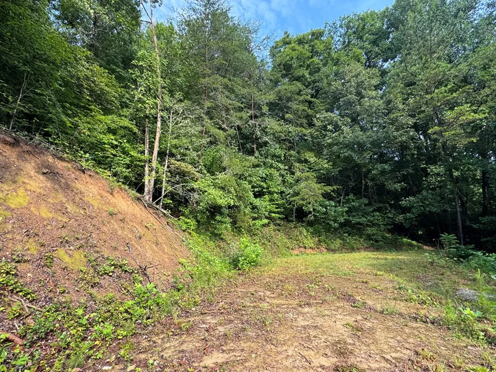 Jacobs Rd Bryson City, NC 28713