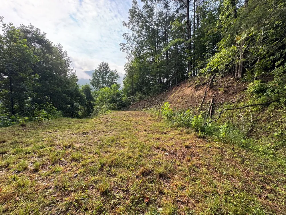 Jacobs Rd Bryson City, NC 28713