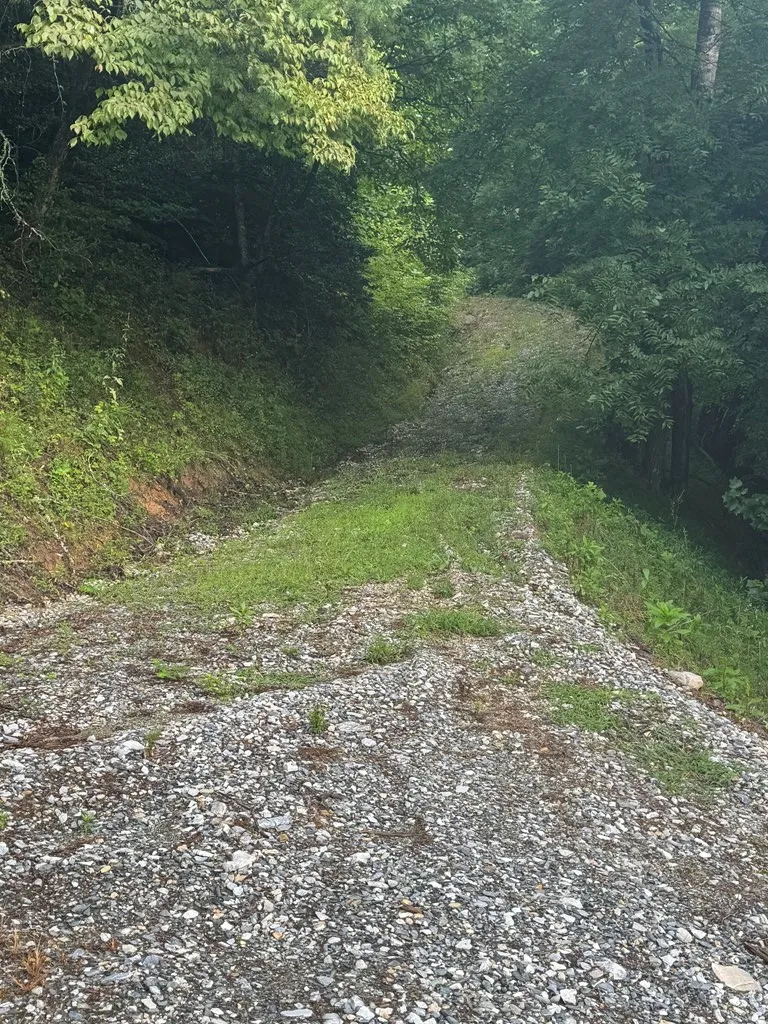 Jacobs Rd Bryson City, NC 28713