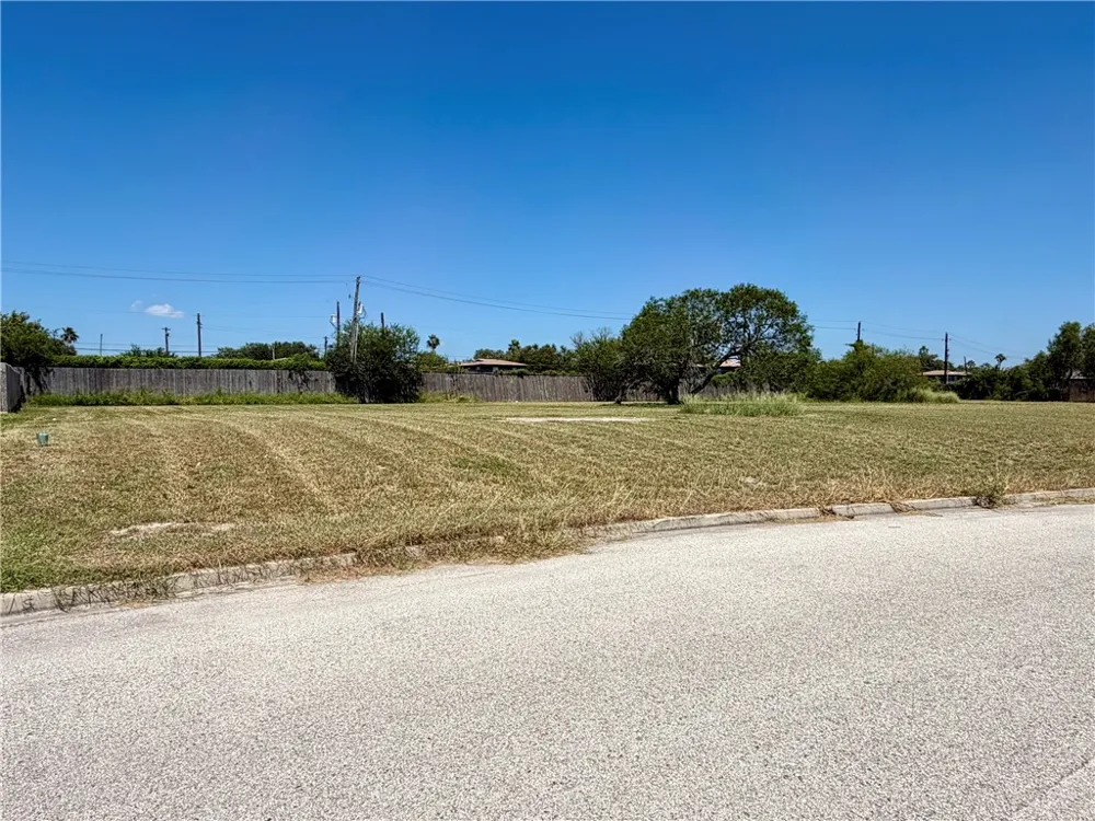 1331 Del Mar Drive Kingsville, TX 78363
