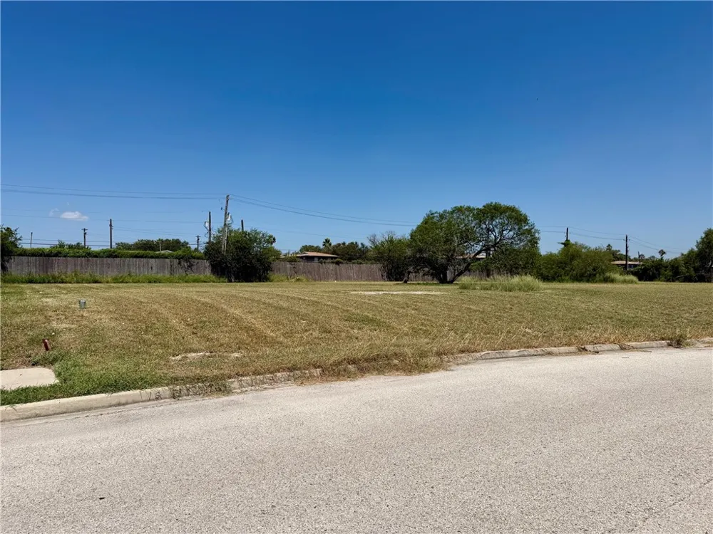 1331 Del Mar Drive Kingsville, TX 78363