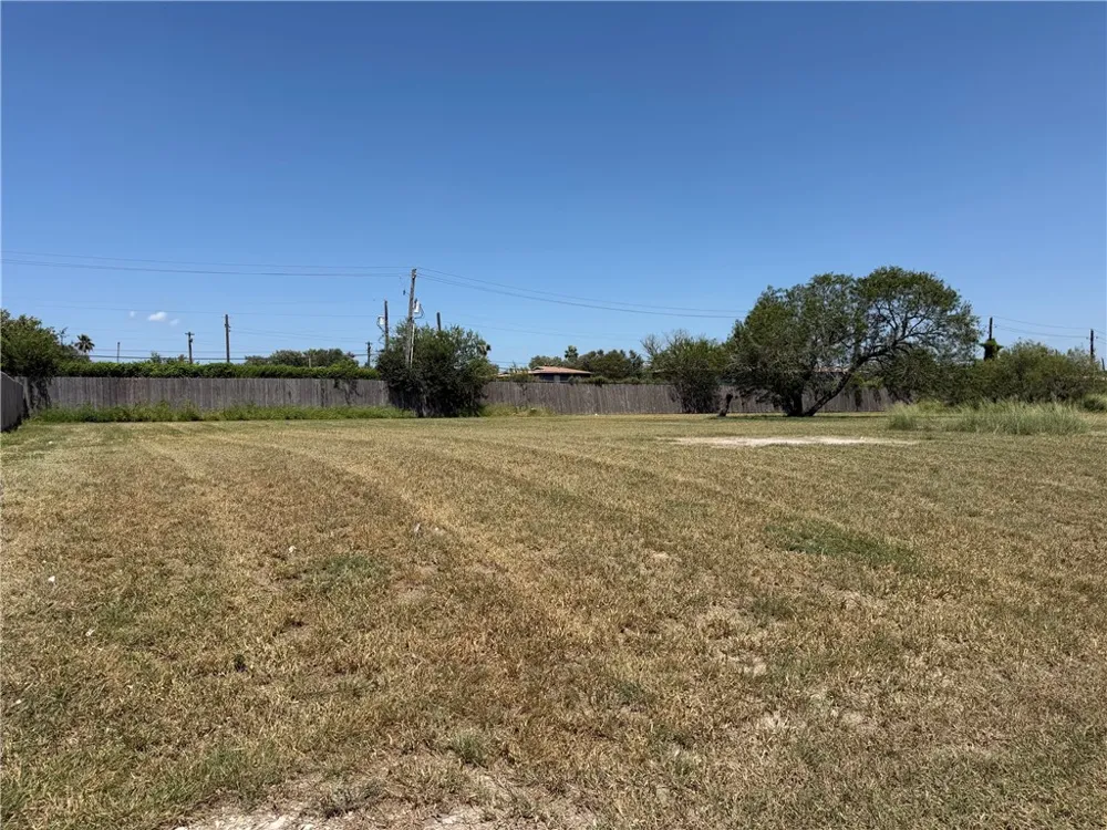 1331 Del Mar Drive Kingsville, TX 78363