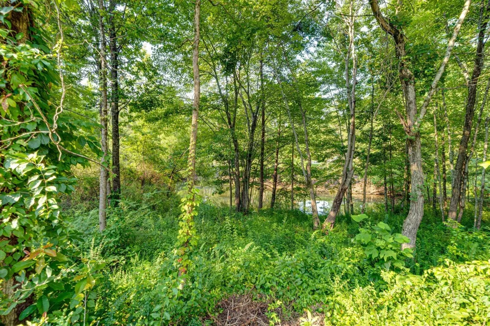 4 Saint Ives Way Signal Mountain, TN 37377