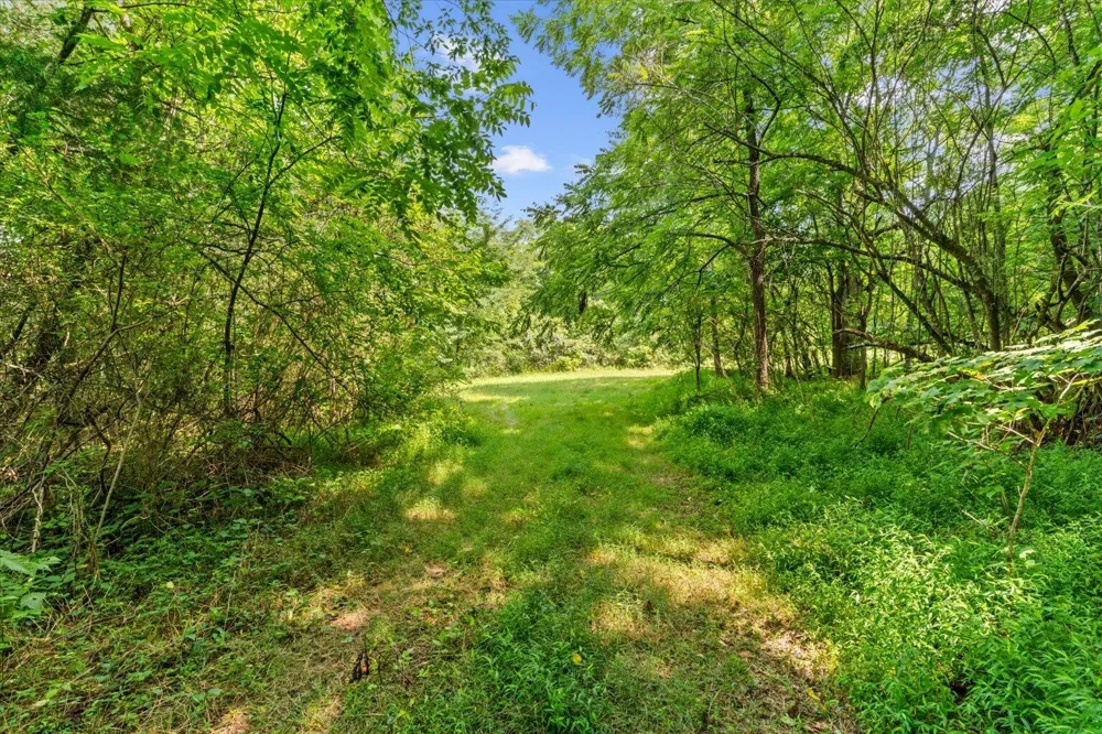 Wilson Caldwell Road Cohutta, GA 30710