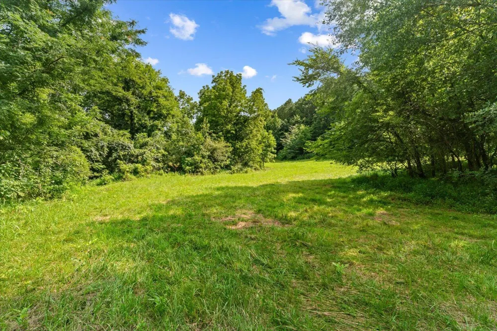 Wilson Caldwell Road Cohutta, GA 30710