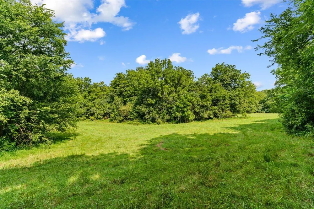 Wilson Caldwell Road Cohutta, GA 30710