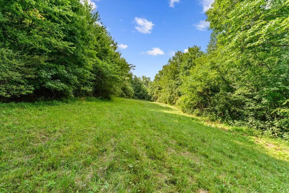 Wilson Caldwell Road Cohutta, GA 30710