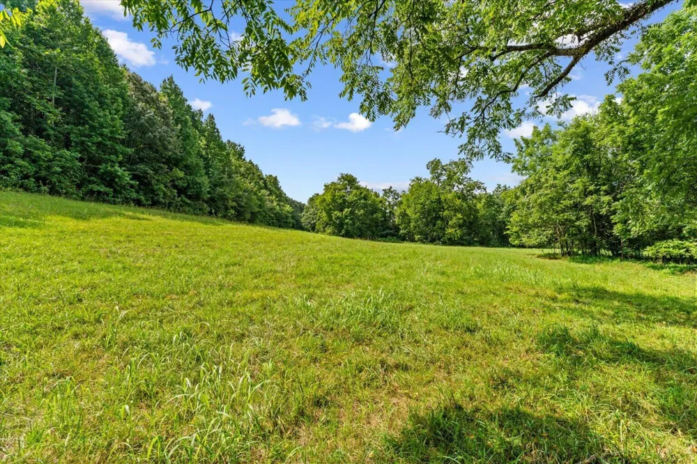 Wilson Caldwell Road Cohutta, GA 30710