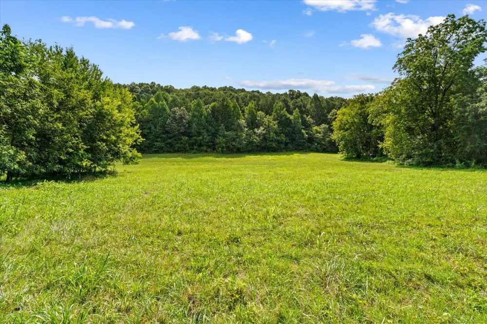 Wilson Caldwell Road Cohutta, GA 30710