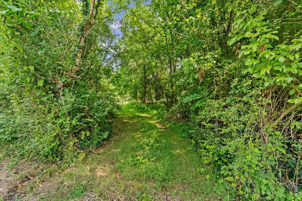 Wilson Caldwell Road Cohutta, GA 30710