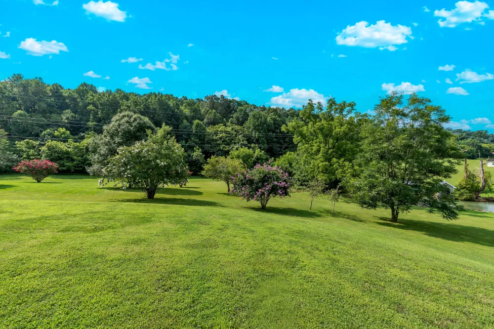 605 E Farrell Street Niota, TN 37826