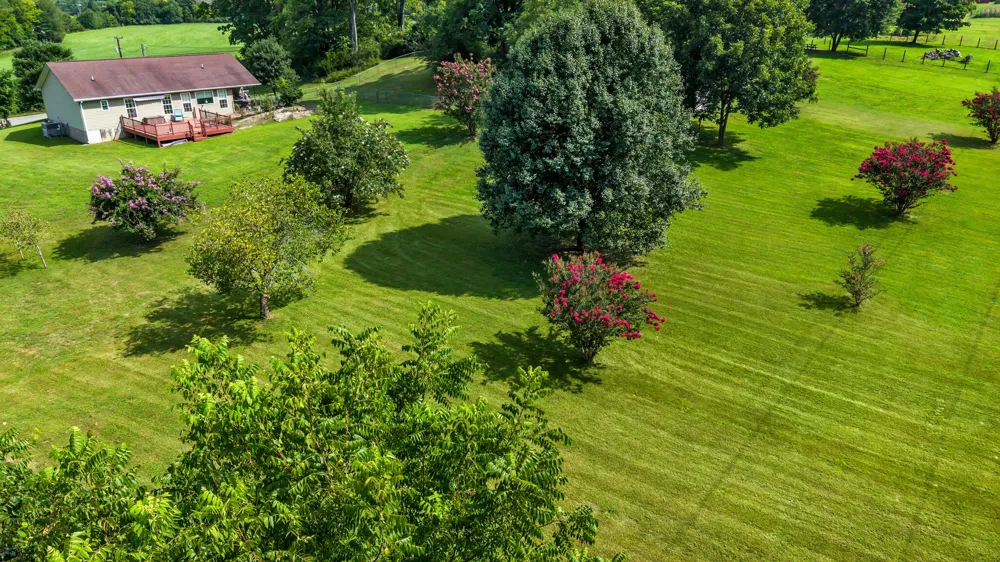 605 E Farrell Street Niota, TN 37826