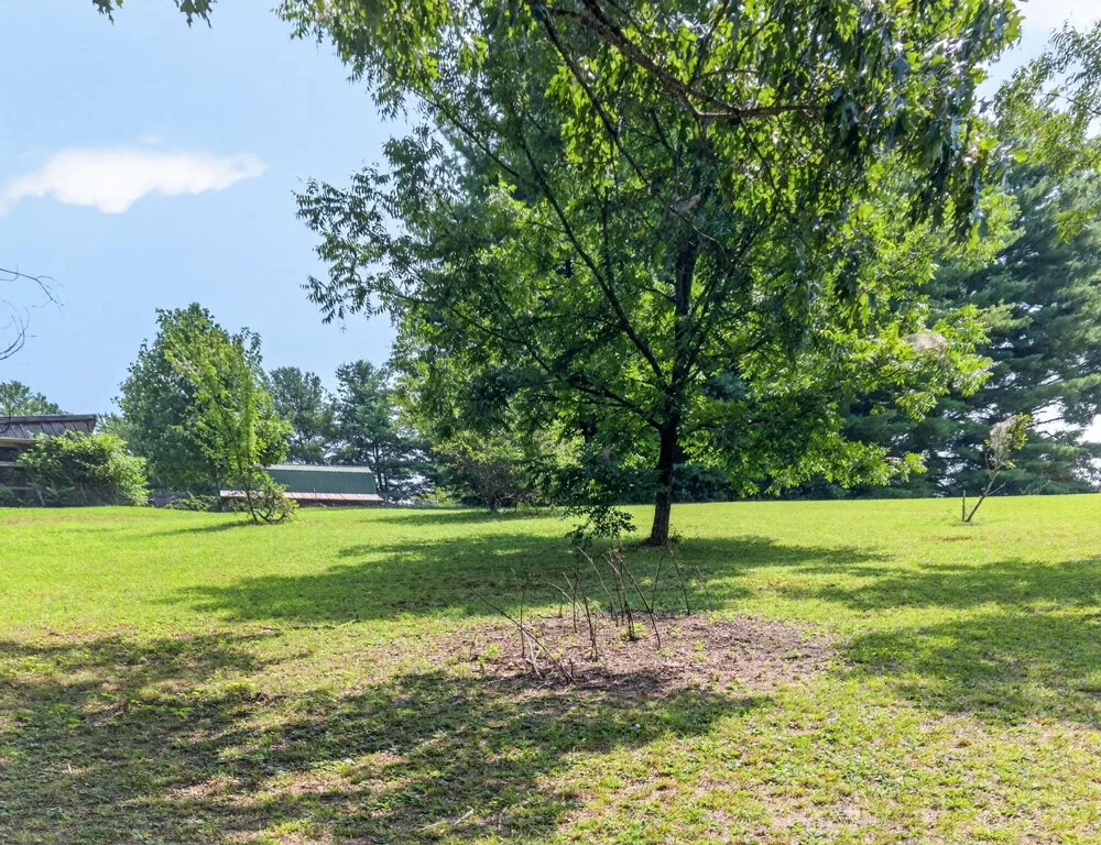9361 Griffith Road Pikeville, TN 37367
