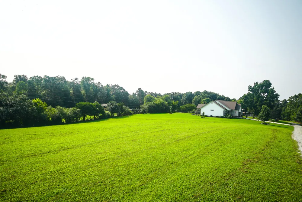 10112 Tommys Lane Soddy Daisy, TN 37379