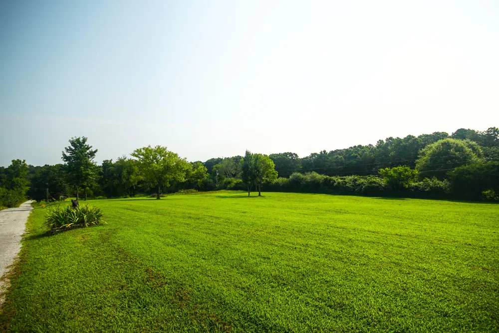 10112 Tommys Lane Soddy Daisy, TN 37379