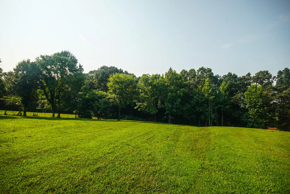 10112 Tommys Lane Soddy Daisy, TN 37379