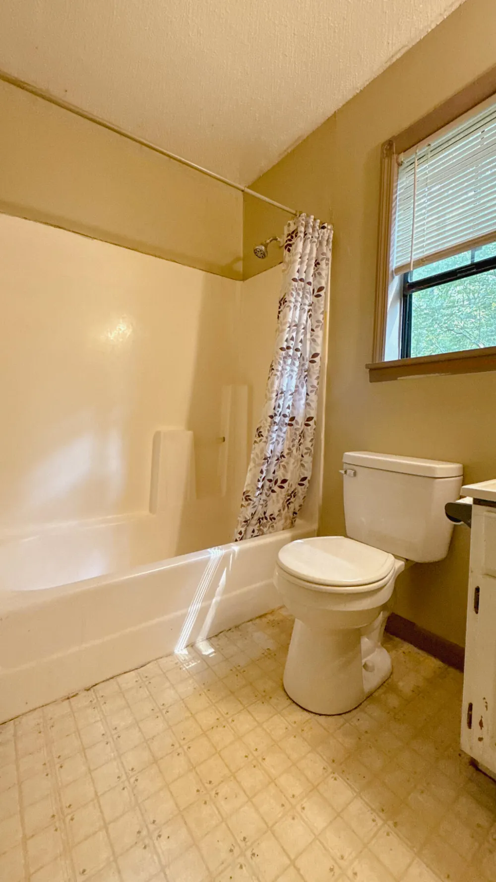 270 Summer Lane Trenton, GA 30752