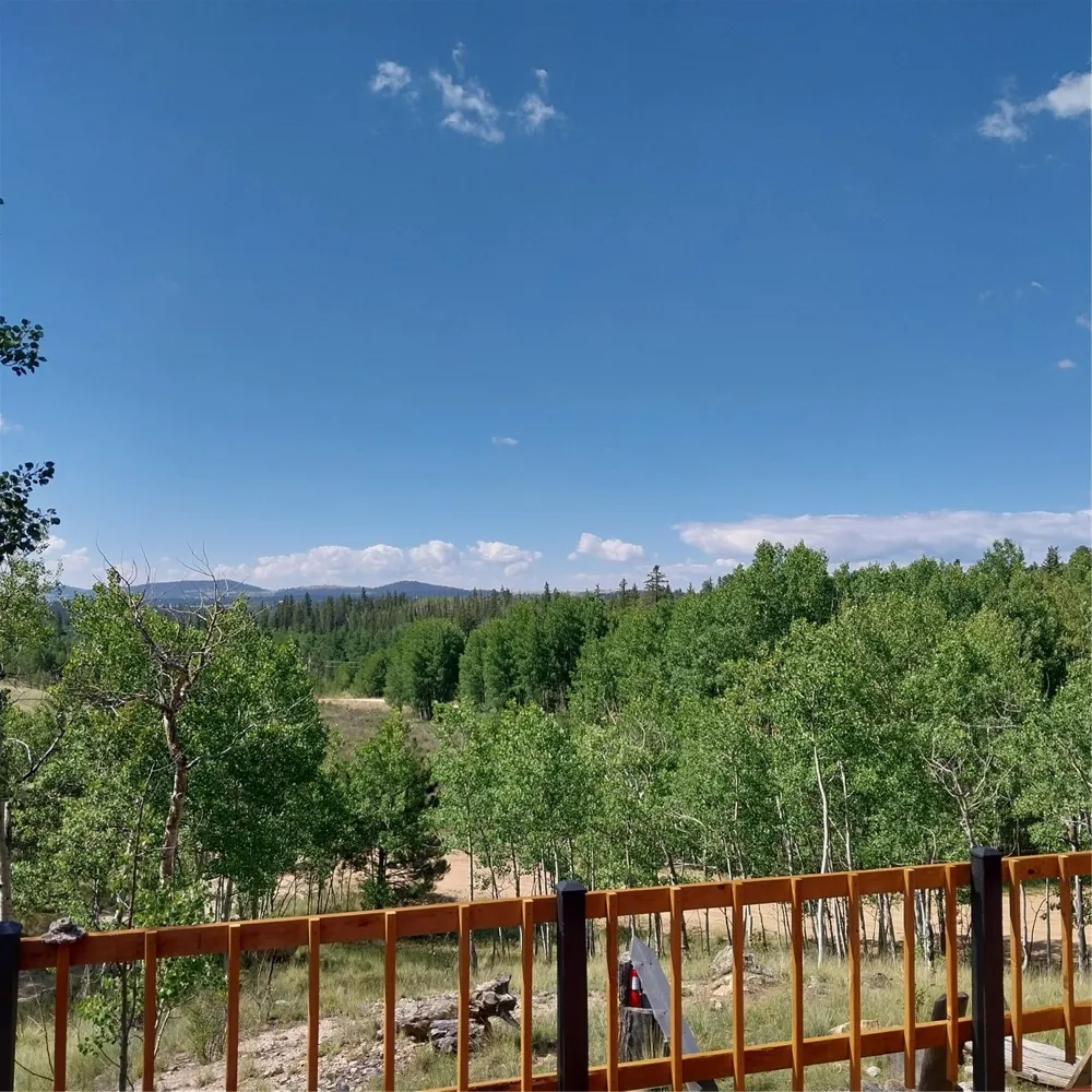 1391 Ute Trail Como, CO 80432