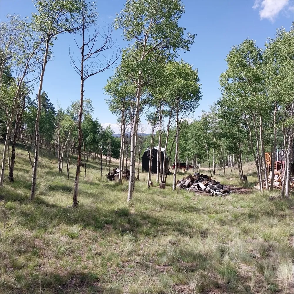 1391 Ute Trail Como, CO 80432