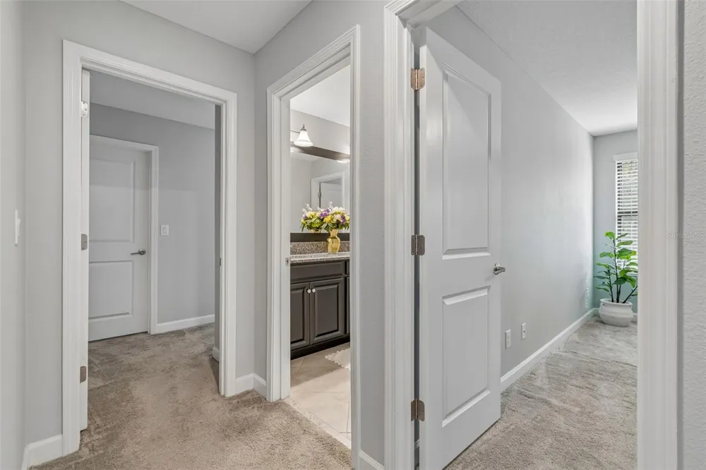 11002 LITTLE BLUE HERON DRIVE Riverview, FL 33579