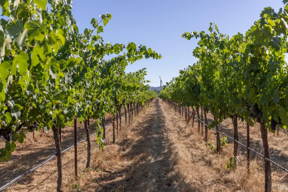 3091 Big Ranch Road Napa, CA 94558