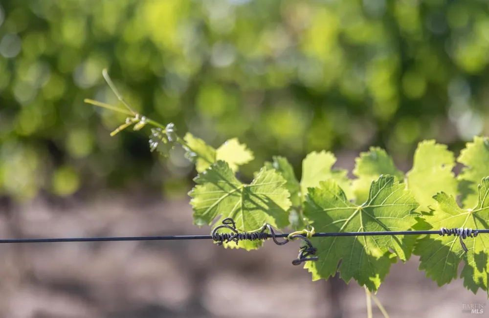 3091 Big Ranch Road Napa, CA 94558