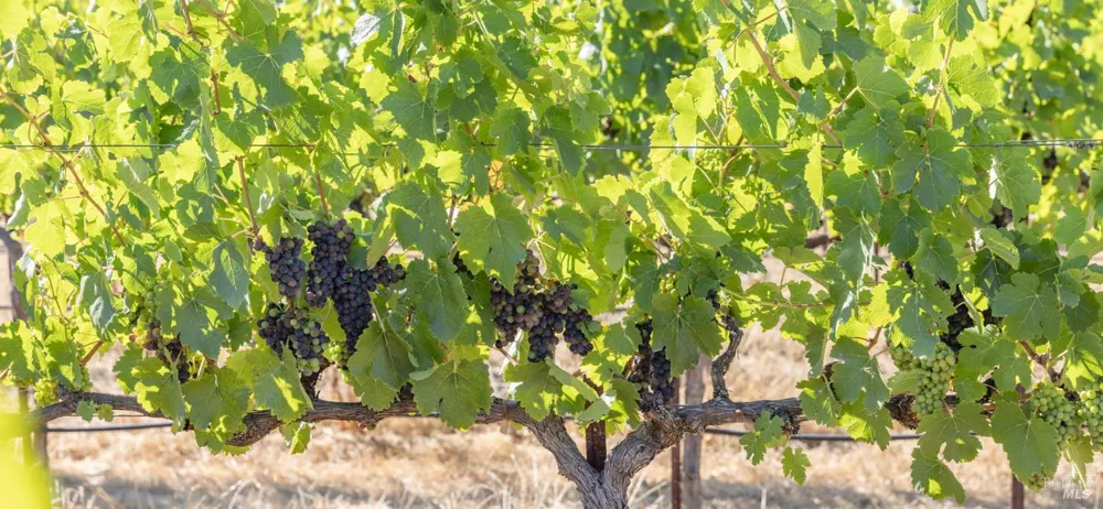 3091 Big Ranch Road Napa, CA 94558