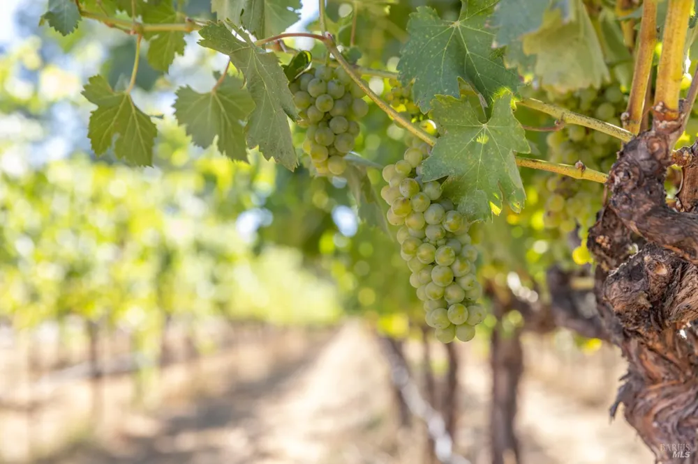 3091 Big Ranch Road Napa, CA 94558