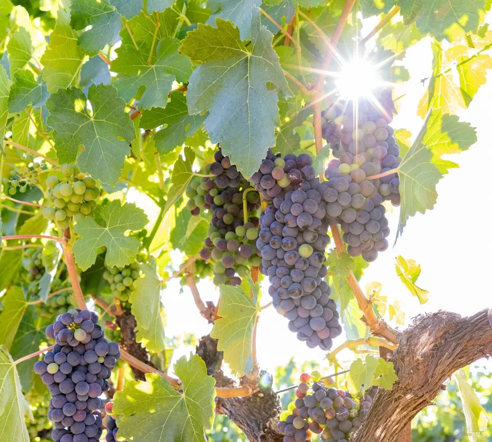 3091 Big Ranch Road Napa, CA 94558