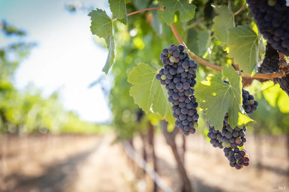 3091 Big Ranch Road Napa, CA 94558