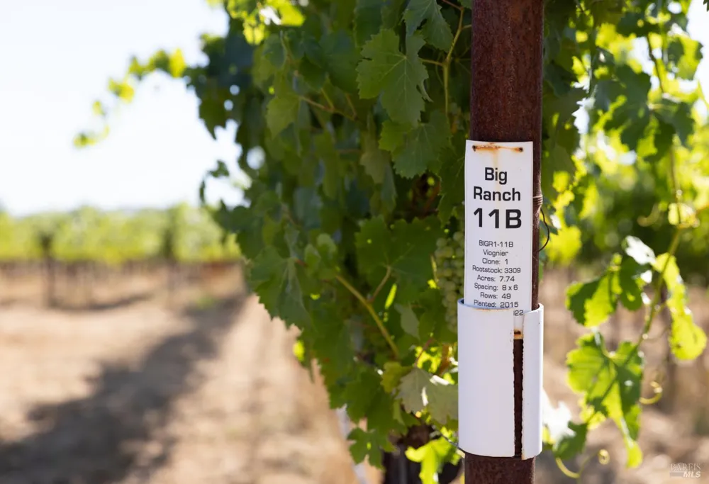 3091 Big Ranch Road Napa, CA 94558