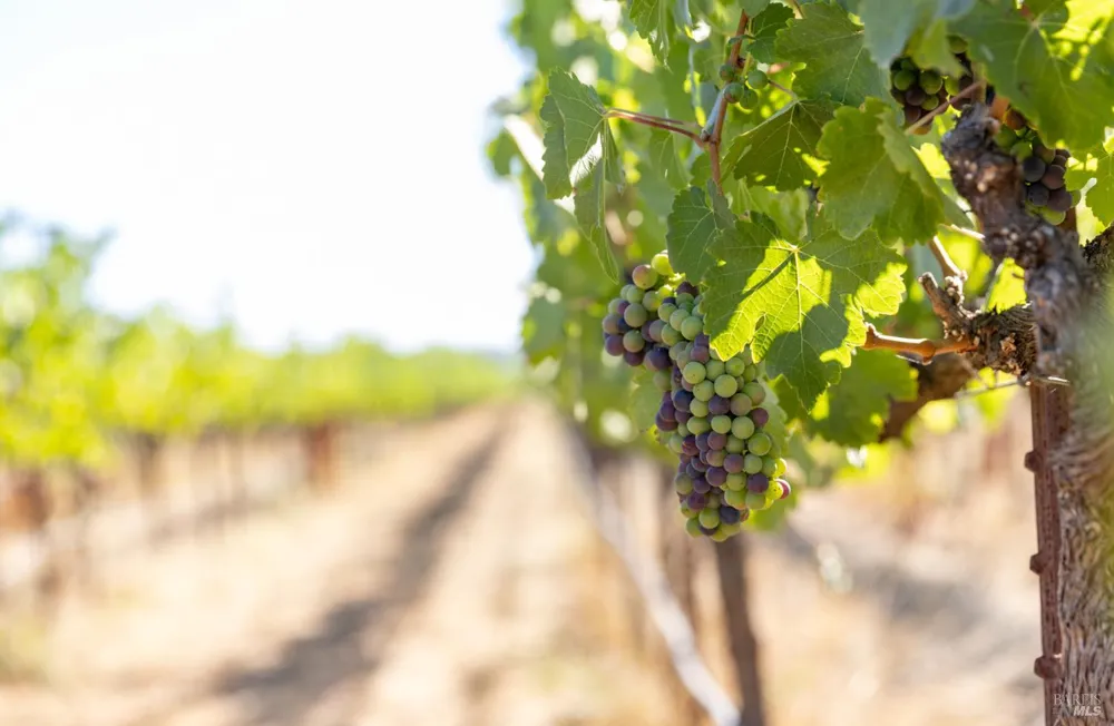 3091 Big Ranch Road Napa, CA 94558