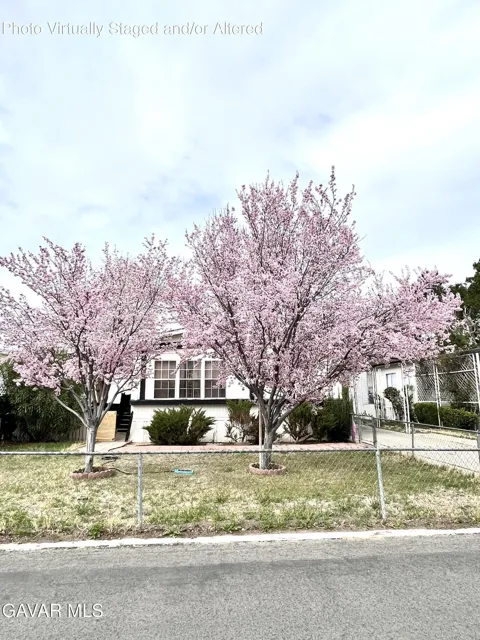 43850 E 20th Street #289