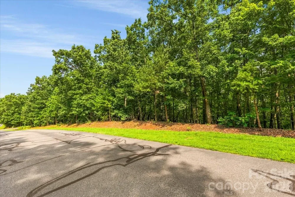 149 Mossy Oak Trail #167 Nebo, NC 28761