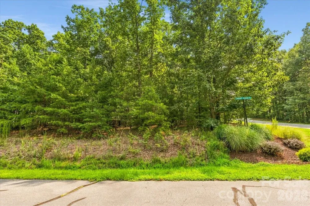 149 Mossy Oak Trail #167 Nebo, NC 28761