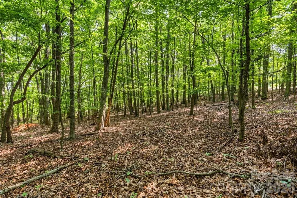 149 Mossy Oak Trail #167 Nebo, NC 28761