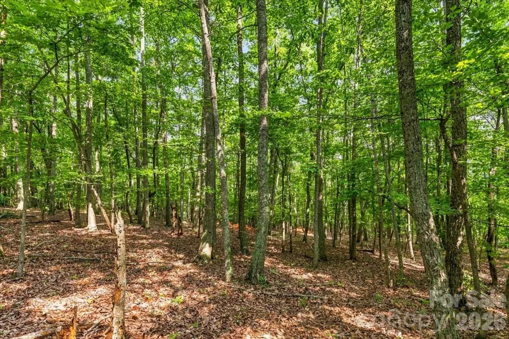 149 Mossy Oak Trail #167 Nebo, NC 28761