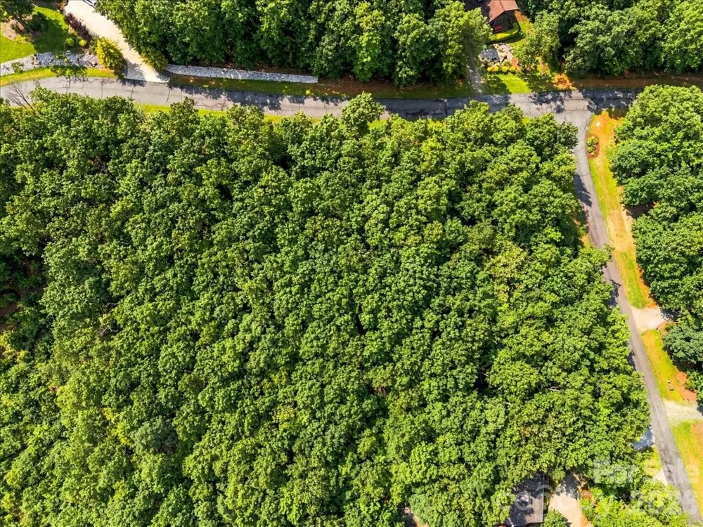 149 Mossy Oak Trail #167 Nebo, NC 28761