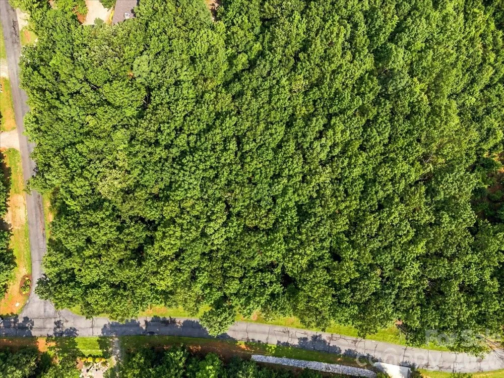 149 Mossy Oak Trail #167 Nebo, NC 28761
