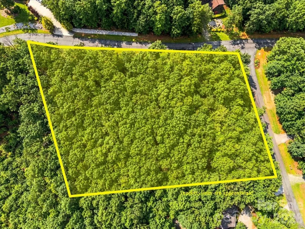 149 Mossy Oak Trail #167 Nebo, NC 28761