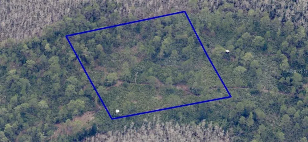 DILL ROAD Orlando, FL 32820