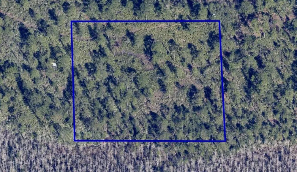 DILL ROAD Orlando, FL 32820