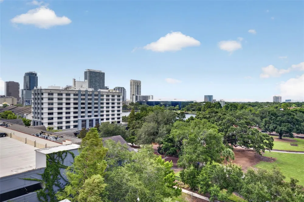 530 E CENTRAL BOULEVARD #803 Orlando, FL 32801