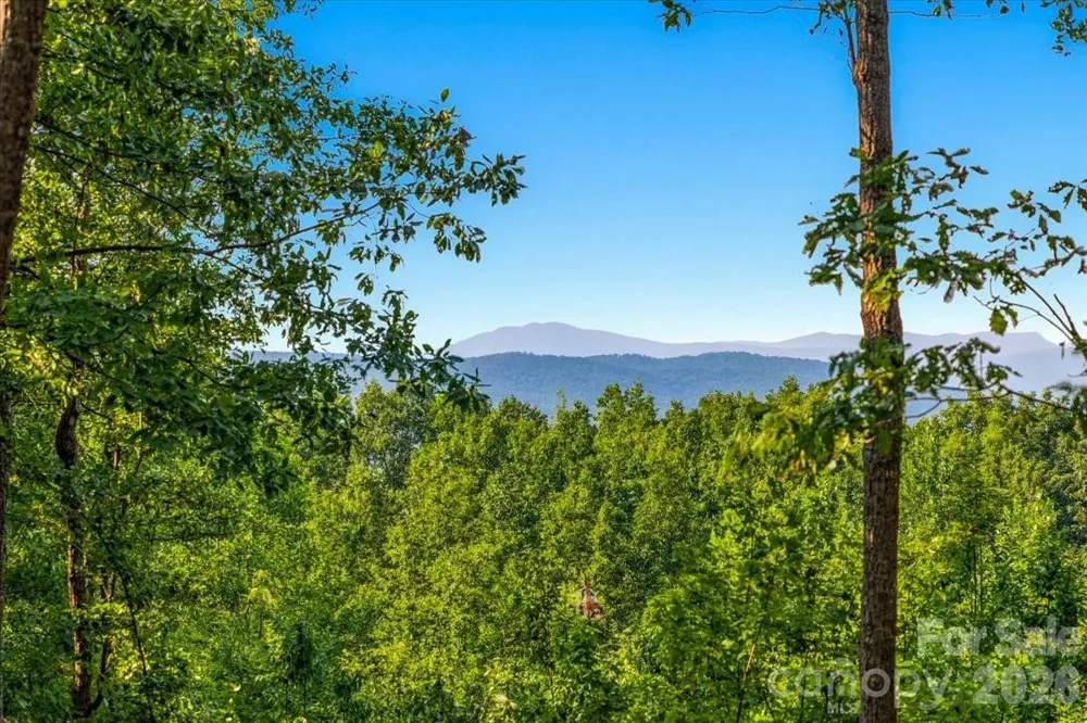 207 Mossy Oak Trail #166 Nebo, NC 28761