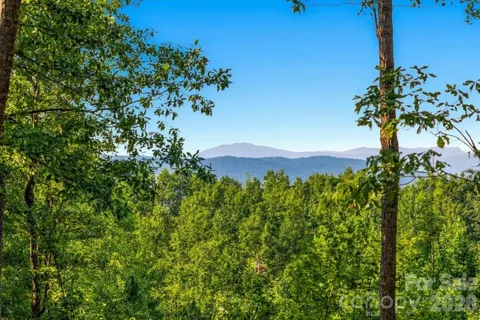 207 Mossy Oak Trail #166