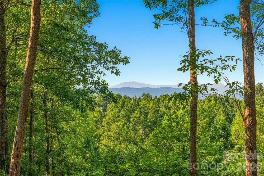 207 Mossy Oak Trail #166 Nebo, NC 28761