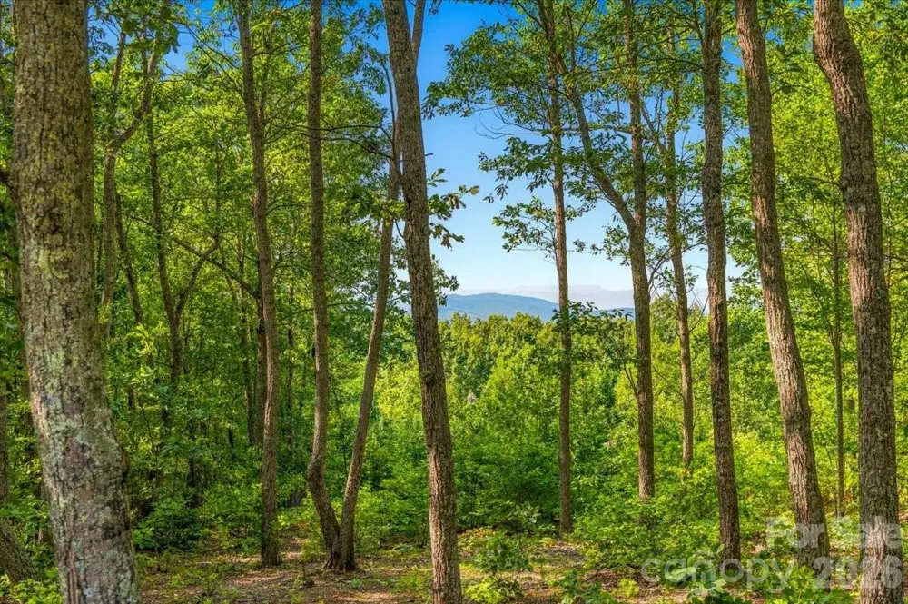 207 Mossy Oak Trail #166 Nebo, NC 28761