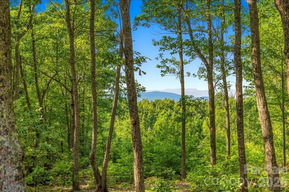 207 Mossy Oak Trail #166 Nebo, NC 28761