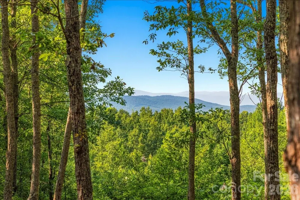 207 Mossy Oak Trail #166 Nebo, NC 28761